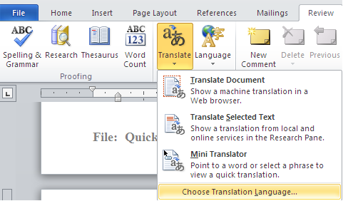 Microsoft Office Translate Feature